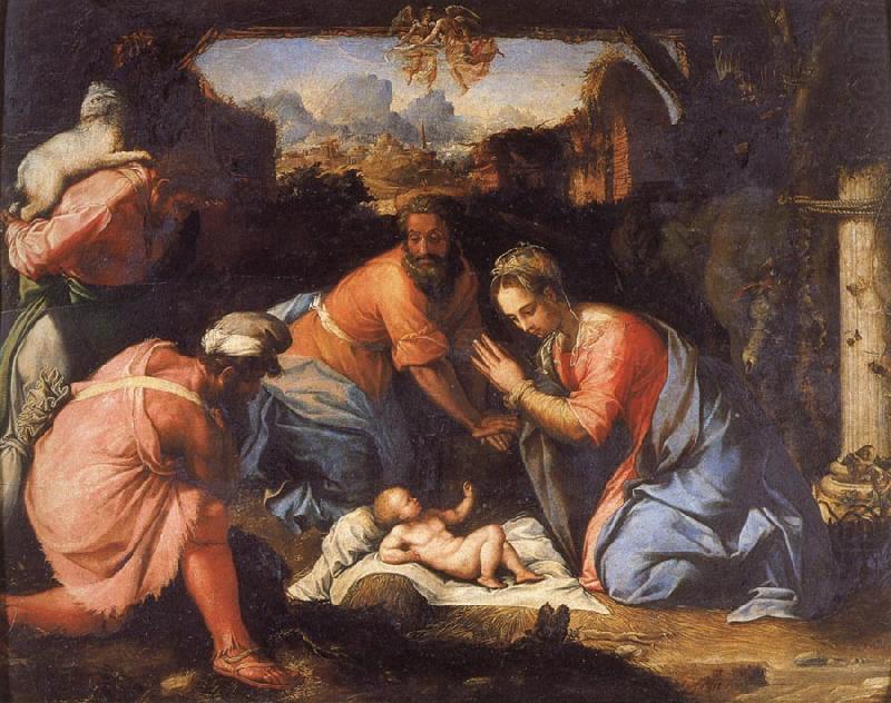 The Adoration of the Shepherds, Francesco Salviati